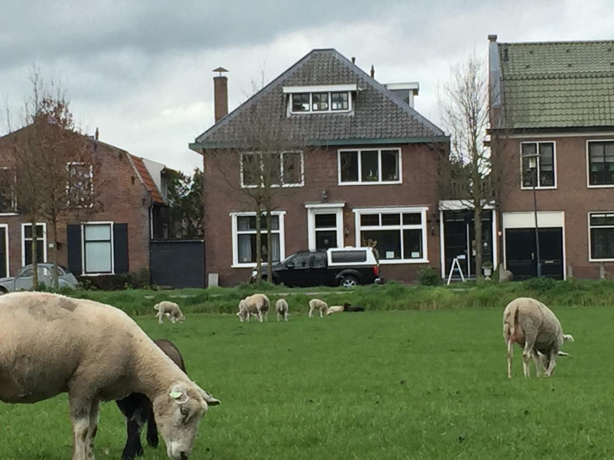 Art+Bed And Breakfast 's-Graveland Exterior foto